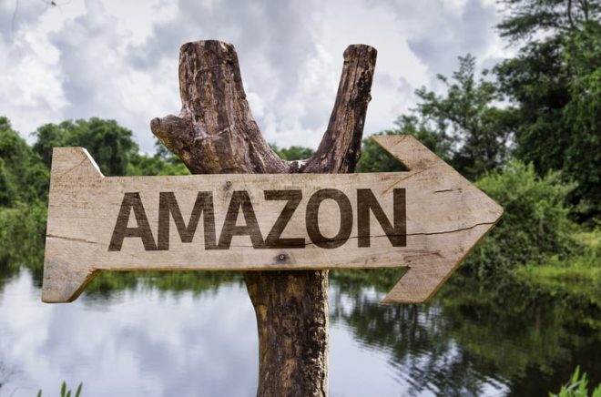 Amazon wooden sign on a forest background