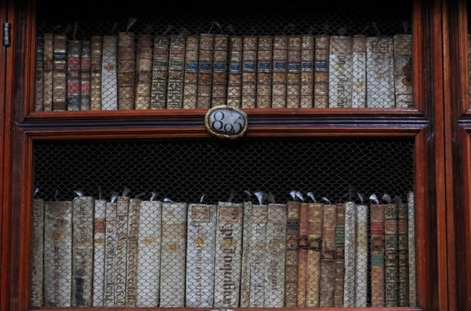 105 år gammal bok tillbaka på biblioteket. Arkivbild: PABLO SPENCER/AP/TT.