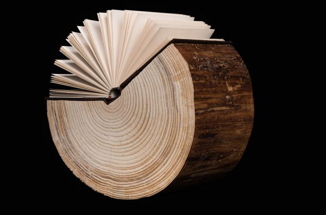 Böcker tryckta på papper gjorda av träd. Hur ska bokbranschen jobba med hållbarhetsperspektivet framöver? Foto: iStock.