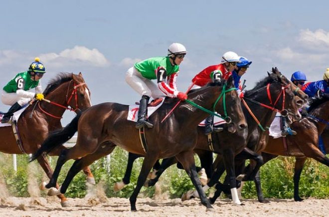Satsar du på rätt häst? Foto: iStock.