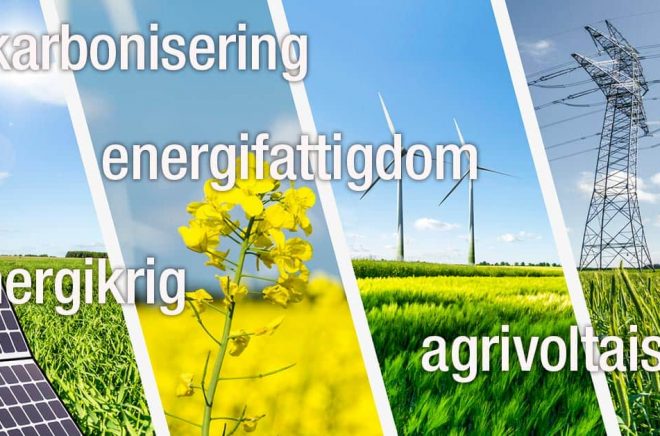 Många ord på nyordslistan 2022 har koppling till klimat och energi. Foto: iStock. Montage: Boktugg.