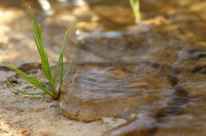 Stipendieregnet ger välbehövligt tillskott för många spirande författarskap. Foto: iStock.